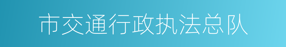 市交通行政执法总队的同义词