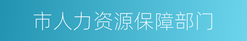 市人力资源保障部门的同义词