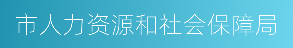 市人力资源和社会保障局的同义词