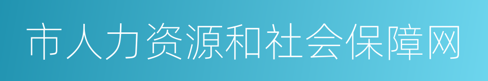 市人力资源和社会保障网的同义词