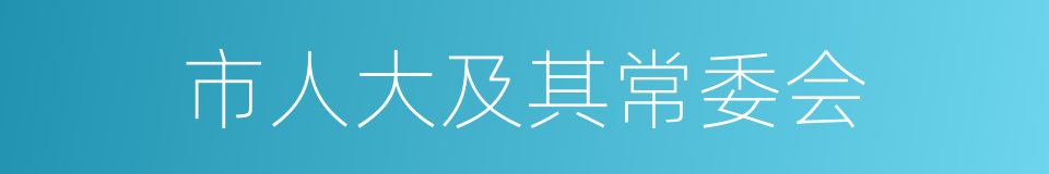 市人大及其常委会的同义词