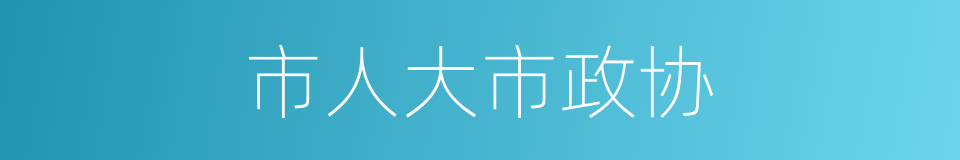 市人大市政协的同义词