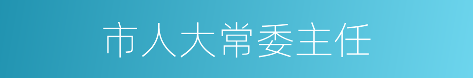 市人大常委主任的同义词