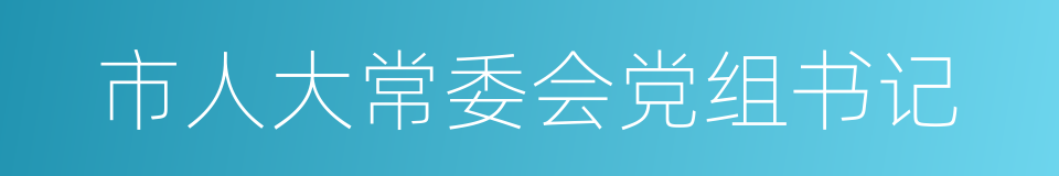 市人大常委会党组书记的同义词
