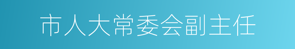 市人大常委会副主任的同义词