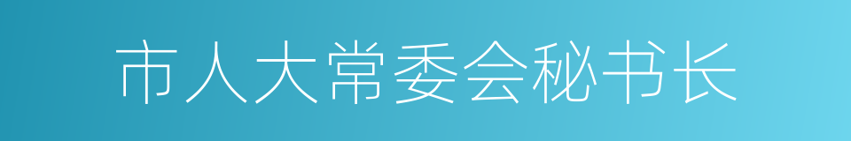 市人大常委会秘书长的同义词