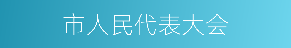 市人民代表大会的同义词