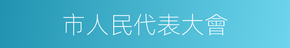 市人民代表大會的同義詞