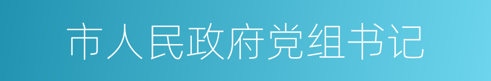 市人民政府党组书记的同义词