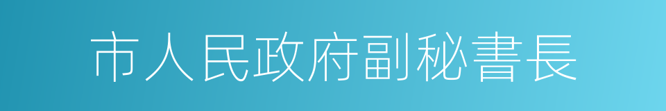 市人民政府副秘書長的同義詞