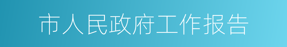 市人民政府工作报告的同义词