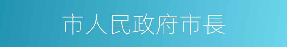 市人民政府市長的同義詞