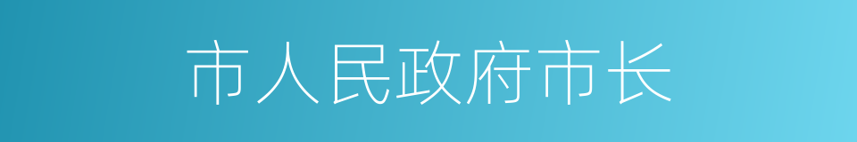 市人民政府市长的同义词