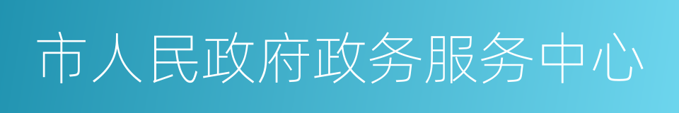 市人民政府政务服务中心的同义词