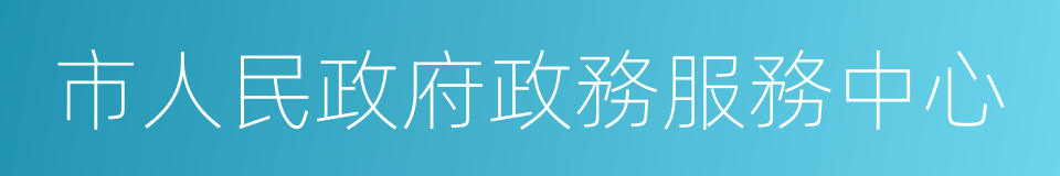 市人民政府政務服務中心的同義詞