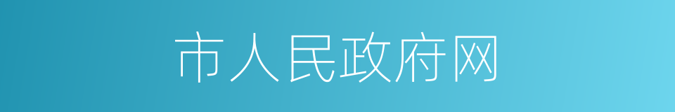 市人民政府网的同义词