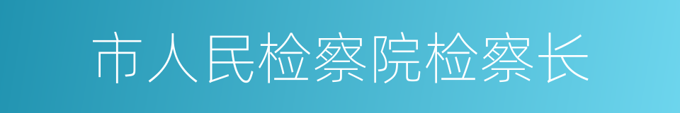 市人民检察院检察长的同义词