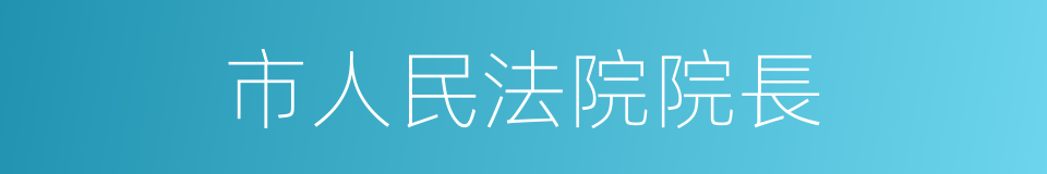 市人民法院院長的同義詞