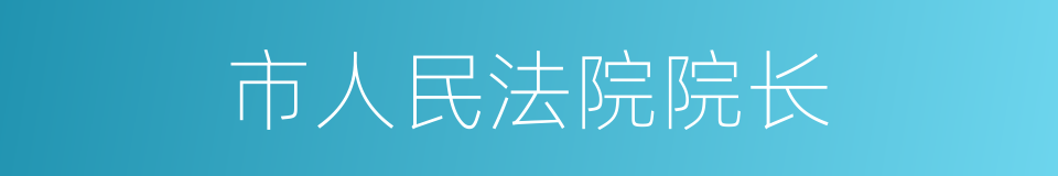 市人民法院院长的同义词