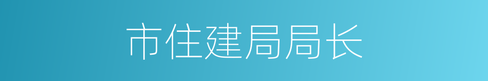市住建局局长的同义词