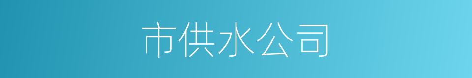 市供水公司的同义词