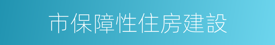 市保障性住房建設的同義詞