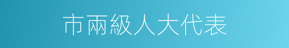 市兩級人大代表的同義詞