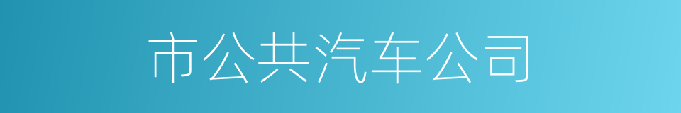 市公共汽车公司的同义词