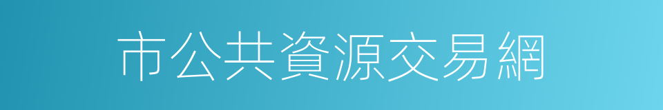 市公共資源交易網的同義詞