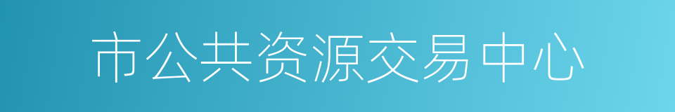 市公共资源交易中心的同义词