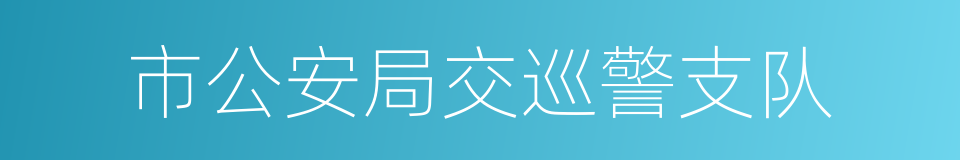 市公安局交巡警支队的同义词