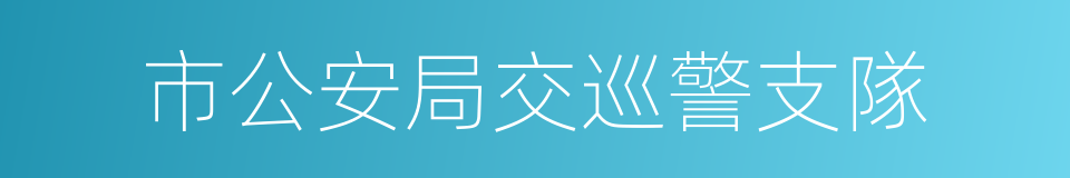 市公安局交巡警支隊的同義詞