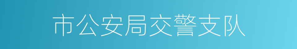 市公安局交警支队的同义词