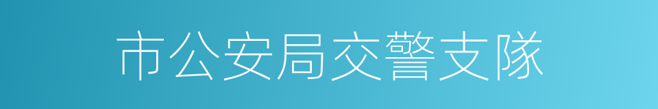 市公安局交警支隊的同義詞
