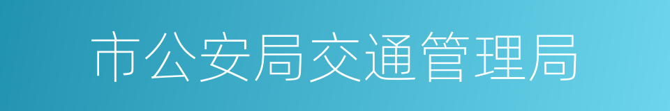 市公安局交通管理局的同义词