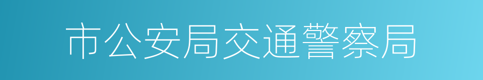 市公安局交通警察局的同义词