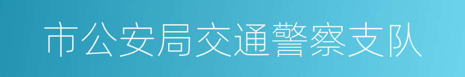 市公安局交通警察支队的同义词