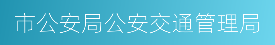 市公安局公安交通管理局的同义词