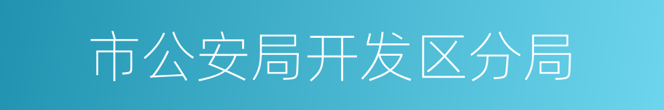 市公安局开发区分局的同义词