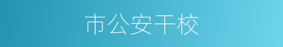 市公安干校的同义词