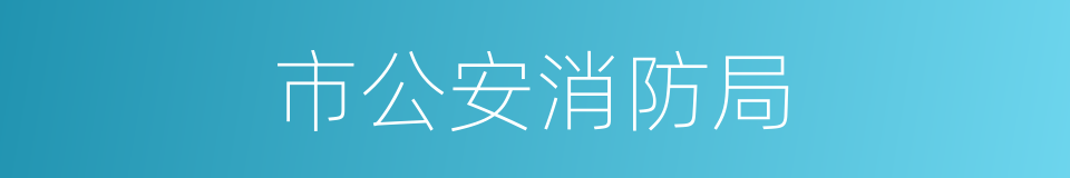 市公安消防局的同义词