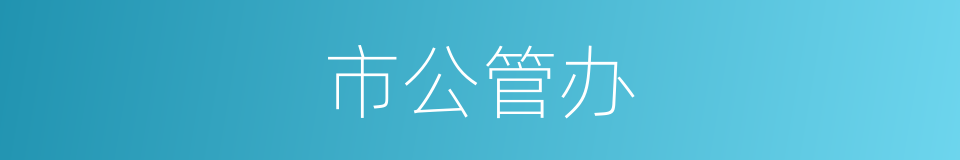 市公管办的同义词