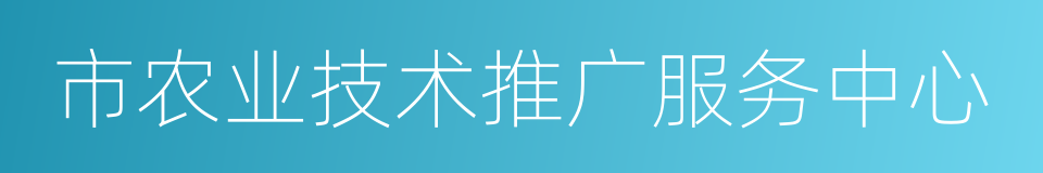 市农业技术推广服务中心的同义词