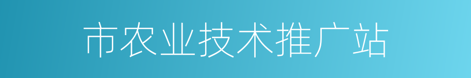 市农业技术推广站的同义词