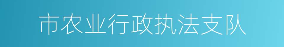 市农业行政执法支队的同义词