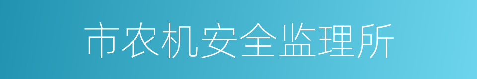 市农机安全监理所的同义词