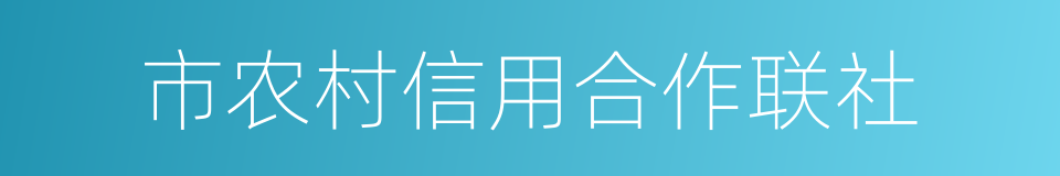 市农村信用合作联社的同义词