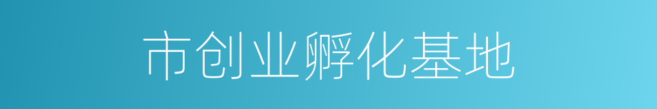 市创业孵化基地的同义词