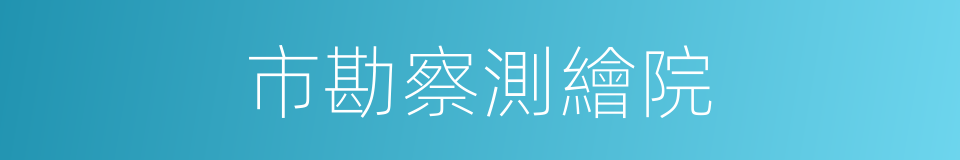 市勘察測繪院的同義詞