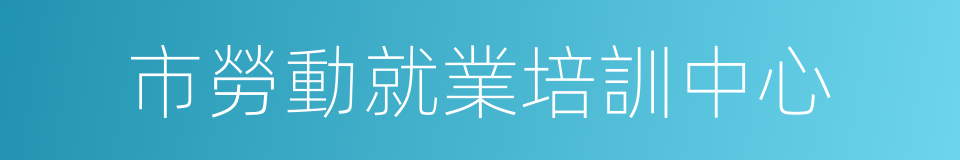 市勞動就業培訓中心的同義詞